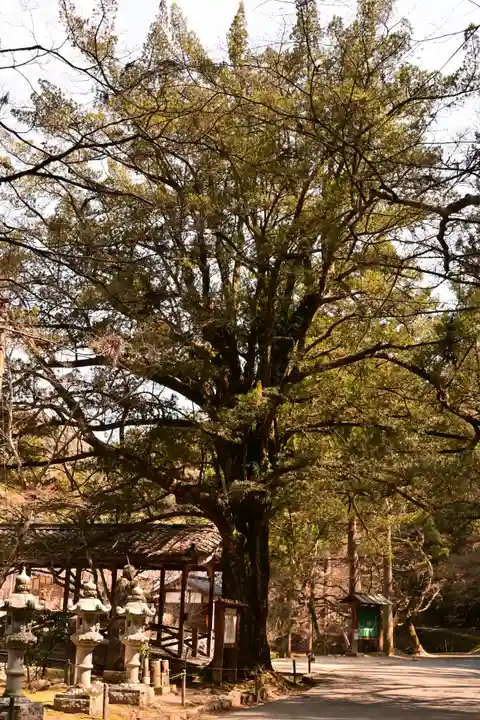 佛通寺(広島県)