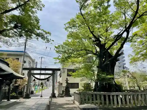 高城神社の{uncategorized: "未分類", other: "その他", undefined: "問題あり", building: "その他建物", grave: "お墓", sacred_gate: "鳥居", guardian: "狛犬", statue: "像", buddha: "仏像", history: "歴史", nature: "自然", garden: "庭園", animal: "動物", pagoda: "塔", temizu: "手水舎", mountain_gate: "山門・神門", sanctuary: "本殿・本堂", subordinate: "末社・摂社", art: "芸術", scenery: "景色", jizo: "地蔵", ema: "絵馬", goshuin: "御朱印", omikuji: "おみくじ", items: "授与品その他", amulet: "お守り", goshuincho: "御朱印帳", eats: "食事", festival: "お祭り", votive_dance: "神楽", shichigosan: "七五三参", wedding: "結婚式", experience: "体験その他", initially: "初詣", around: "周辺", anti_infection: "感染症対策"}
