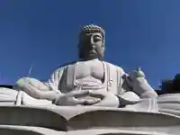 御誕生寺(猫寺)の仏像