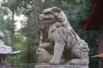 八幡神社の狛犬