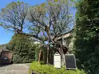 延命院の{uncategorized: "未分類", other: "その他", undefined: "問題あり", building: "その他建物", grave: "お墓", sacred_gate: "鳥居", guardian: "狛犬", statue: "像", buddha: "仏像", history: "歴史", nature: "自然", garden: "庭園", animal: "動物", pagoda: "塔", temizu: "手水舎", mountain_gate: "山門・神門", sanctuary: "本殿・本堂", subordinate: "末社・摂社", art: "芸術", scenery: "景色", jizo: "地蔵", ema: "絵馬", goshuin: "御朱印", omikuji: "おみくじ", items: "授与品その他", amulet: "お守り", goshuincho: "御朱印帳", eats: "食事", festival: "お祭り", votive_dance: "神楽", shichigosan: "七五三参", wedding: "結婚式", experience: "体験その他", initially: "初詣", around: "周辺", anti_infection: "感染症対策"}