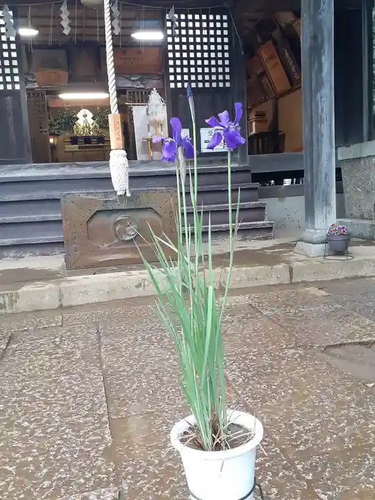 伏木香取神社(茨城県)