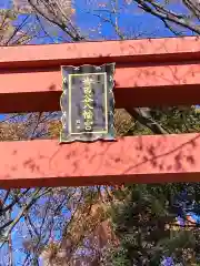 世田谷八幡宮(東京都)