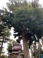 星之宮大神(千葉県)