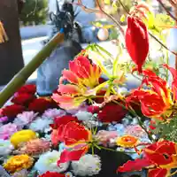 三津厳島神社の手水舎