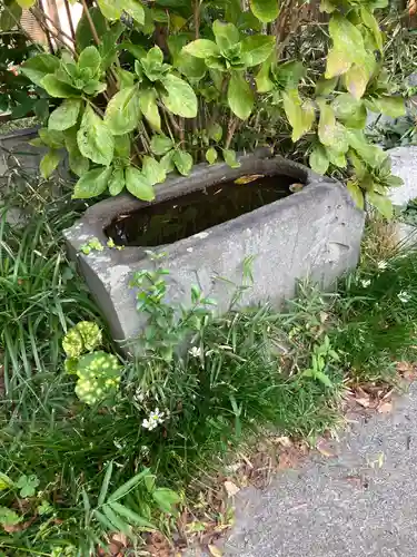 五所神社の手水