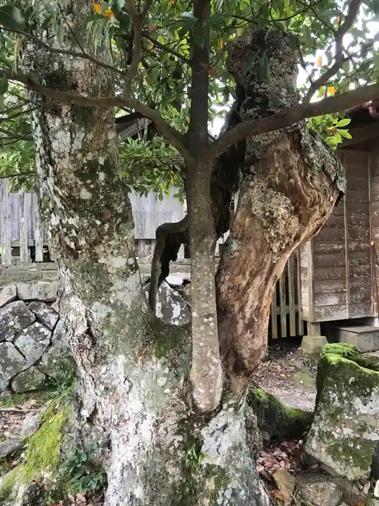 勝日高守神社のその他建物
