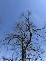 厚別神社(北海道)