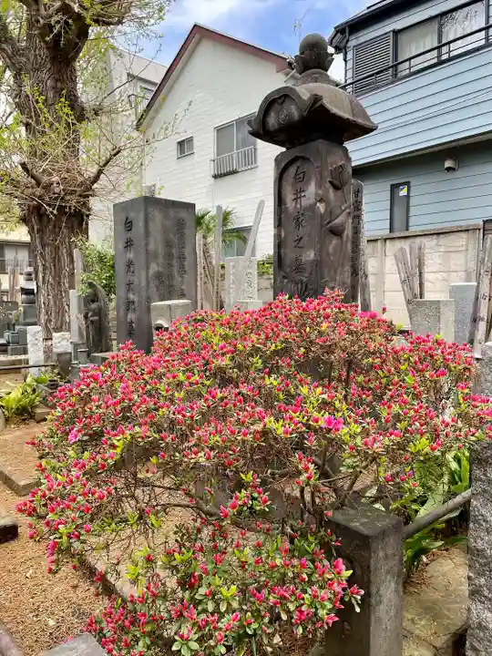 南泉寺(東京都)