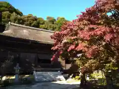 桑実寺(滋賀県)