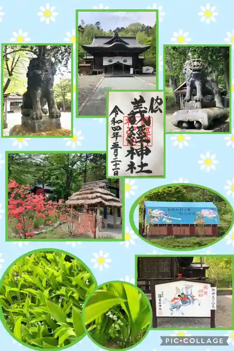義經神社の本殿・本堂