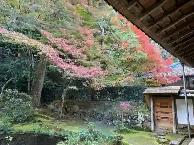 法然院(京都府)