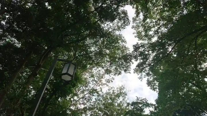 神明社(国府宮神明社)の自然