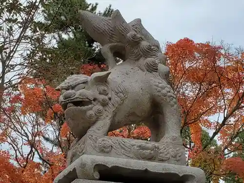 御建神社の狛犬