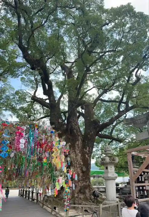 太宰府天満宮の自然