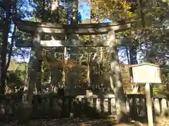 瀧尾神社（日光二荒山神社別宮）の鳥居