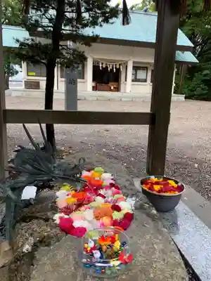 彌都加伎神社の手水舎