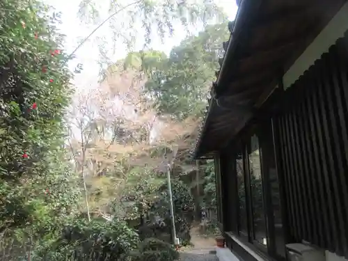 光照寺(京都府)