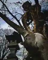高﨑神社(群馬県)
