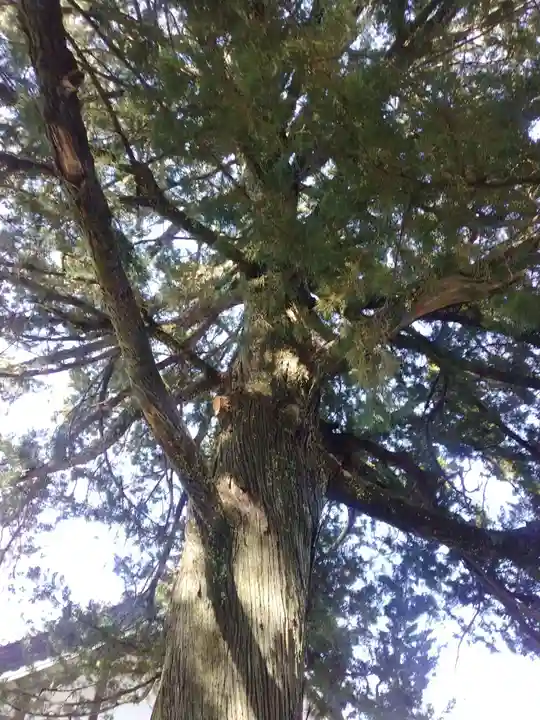 無量寺(和歌山県)