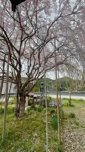 宝泉寺(京都府)