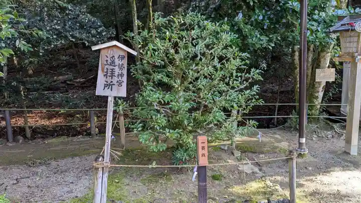 新宮神社(賀茂別雷神社摂社)の末社・摂社