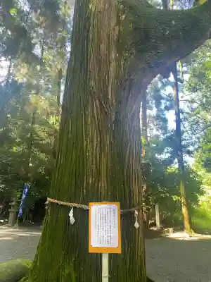 東霧島神社(宮崎県)