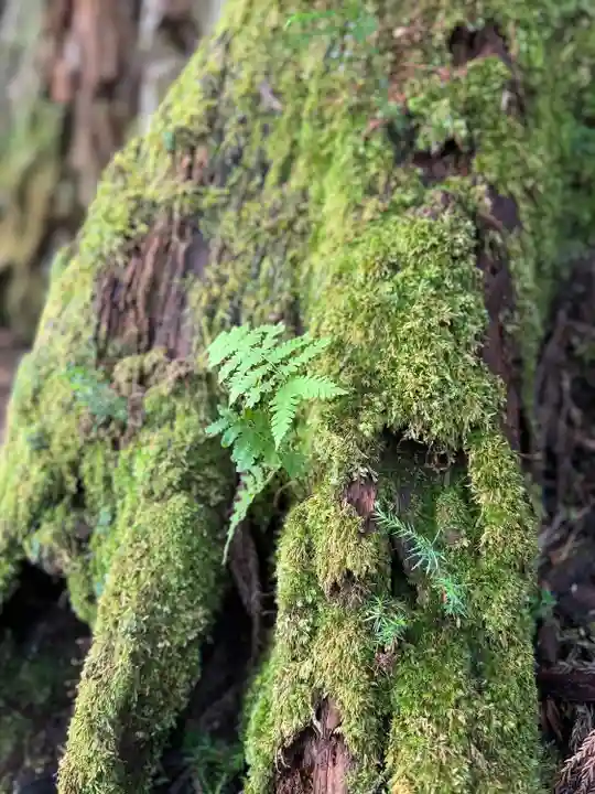 雄山神社中宮祈願殿(富山県)