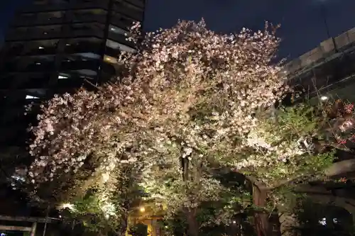 くまくま神社(導きの社 熊野町熊野神社)の自然