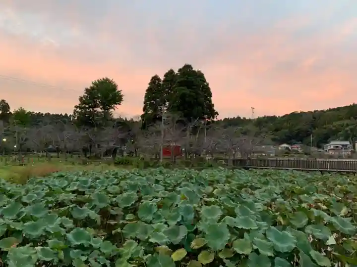 嚴島神社(千葉県)
