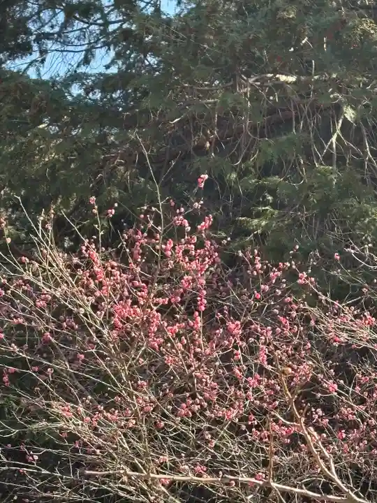 長楽寺(静岡県)