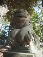 愛宕神社の狛犬