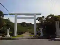 安房神社の鳥居