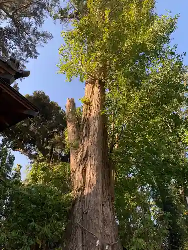 飽富神社のその他建物