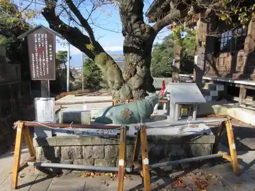 福島縣護國神社の狛犬