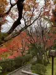 華厳寺（鈴虫寺）(京都府)