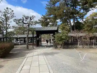 豊国神社(京都府)