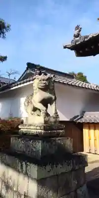 老杉神社の狛犬
