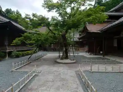 龍泉院のその他建物