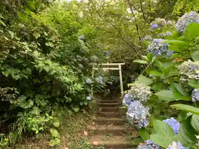 三峰神社の自然