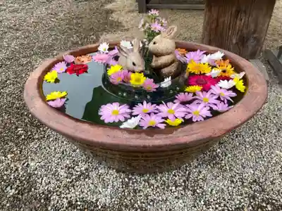荘内神社の手水舎