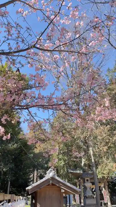 中山神社の自然