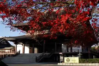 増上寺の本殿・本堂