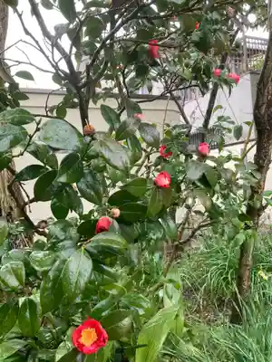 元興寺(奈良県)