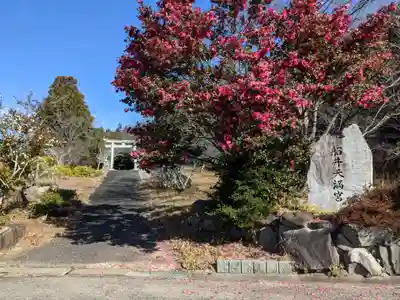 菅神社（船井天満宮）のその他建物