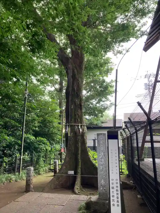 熊野宮(東京都)