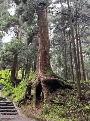 最乗寺（道了尊）(神奈川県)