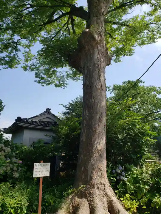 熊野神社の庭園