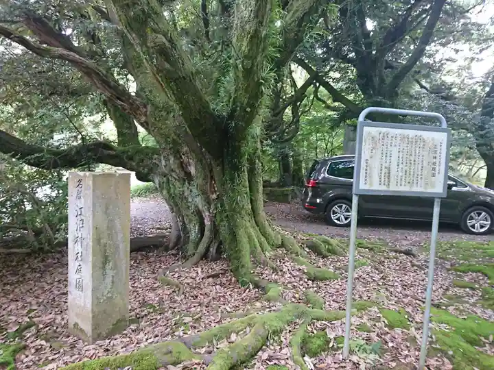 江沼神社の自然