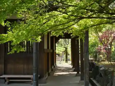 豪徳寺のその他建物